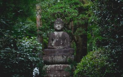 Meditation – why do it?
